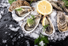 Watt für ein Genuss! Austernsafaris im Weltnaturerbe Wattenmeer