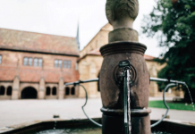 Monumente und ihre Weingeschichte(n)