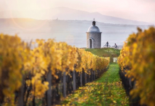 Weinverkostungen in Kellergassen in Südmähren